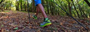 What Is Nordic Walking and Why It's Perfect for Indians